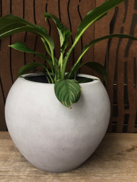 Evie Pot Grey